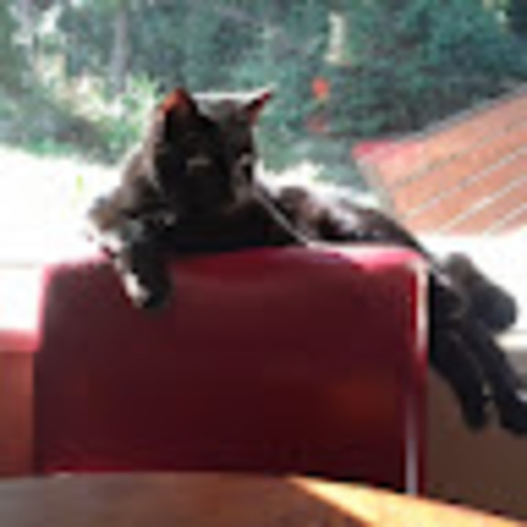 Meet your Posher, Barbara - Picture 1 of 1